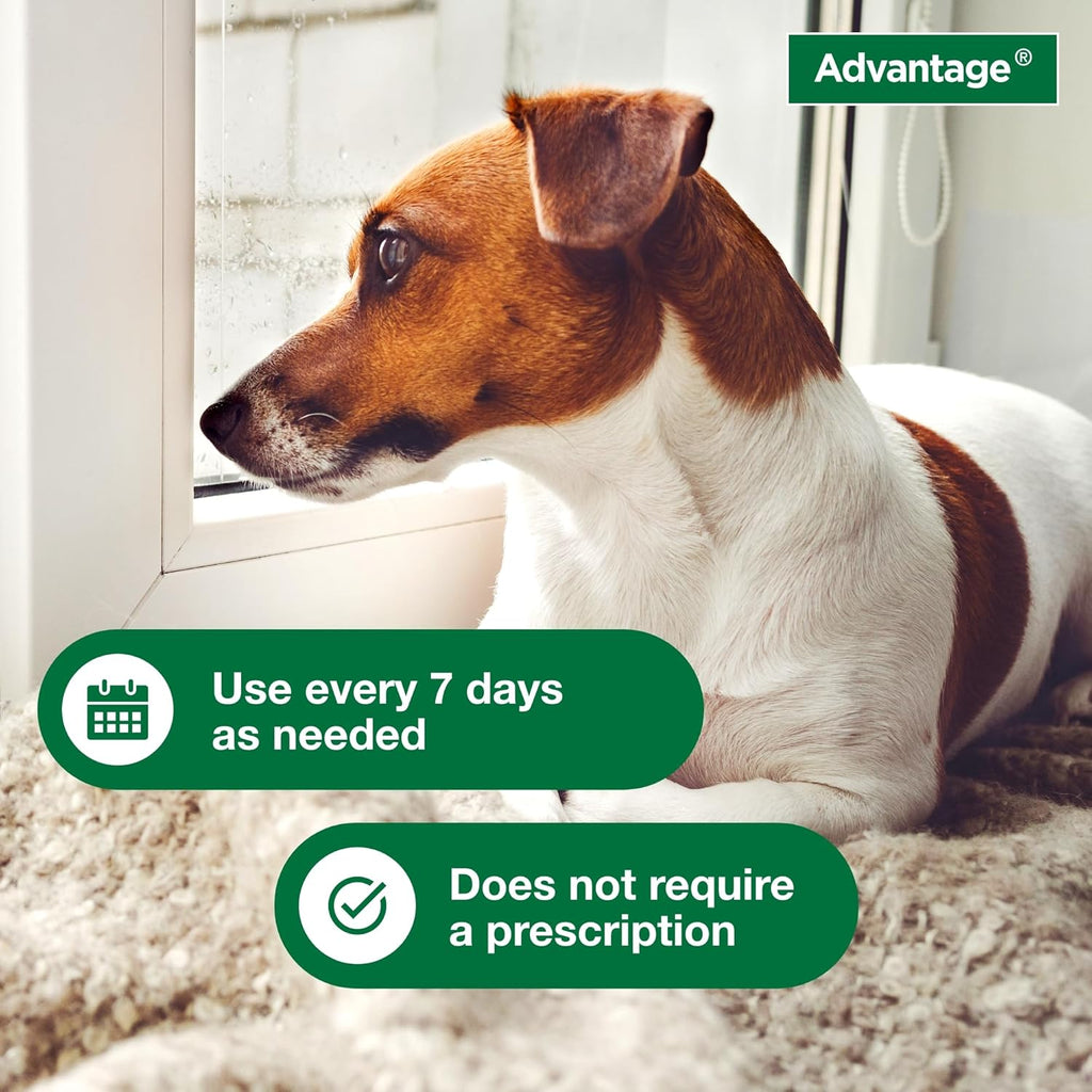 Advantage imported pet grooming flea treatment shampoo close up view