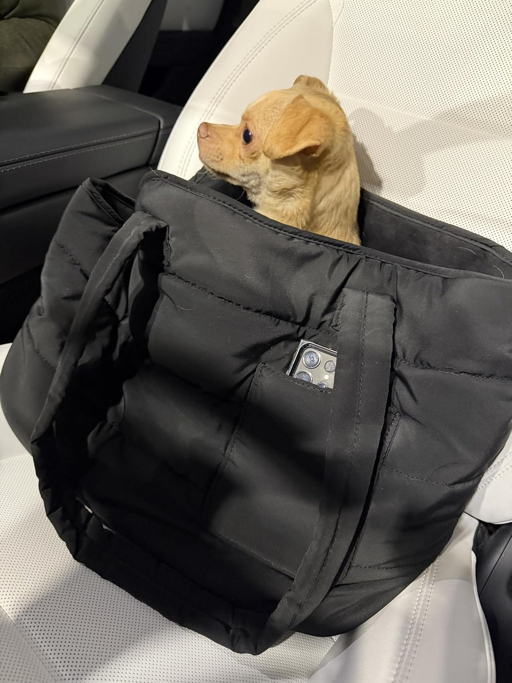 Paws Pack pet carrier bag worn over shoulder