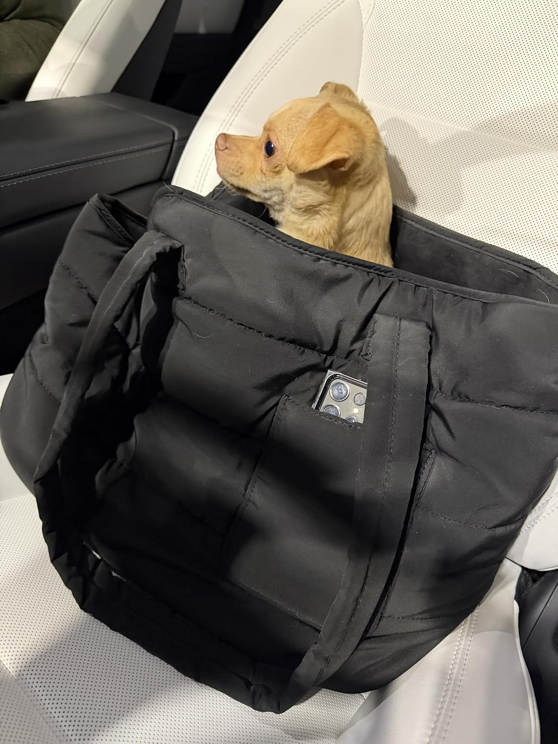 Paws Pack pet carrier bag worn over shoulder