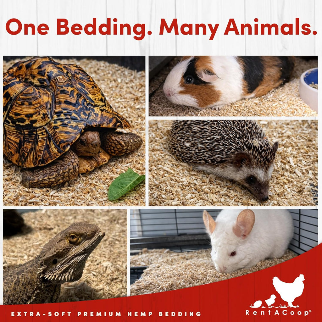 RentACoop organic hemp bedding in a nesting box