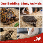 RentACoop organic hemp bedding in a nesting box