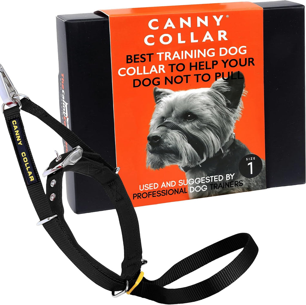 Canny Anti Pull Dog Collar front view showing behind the head design for no pull training.
