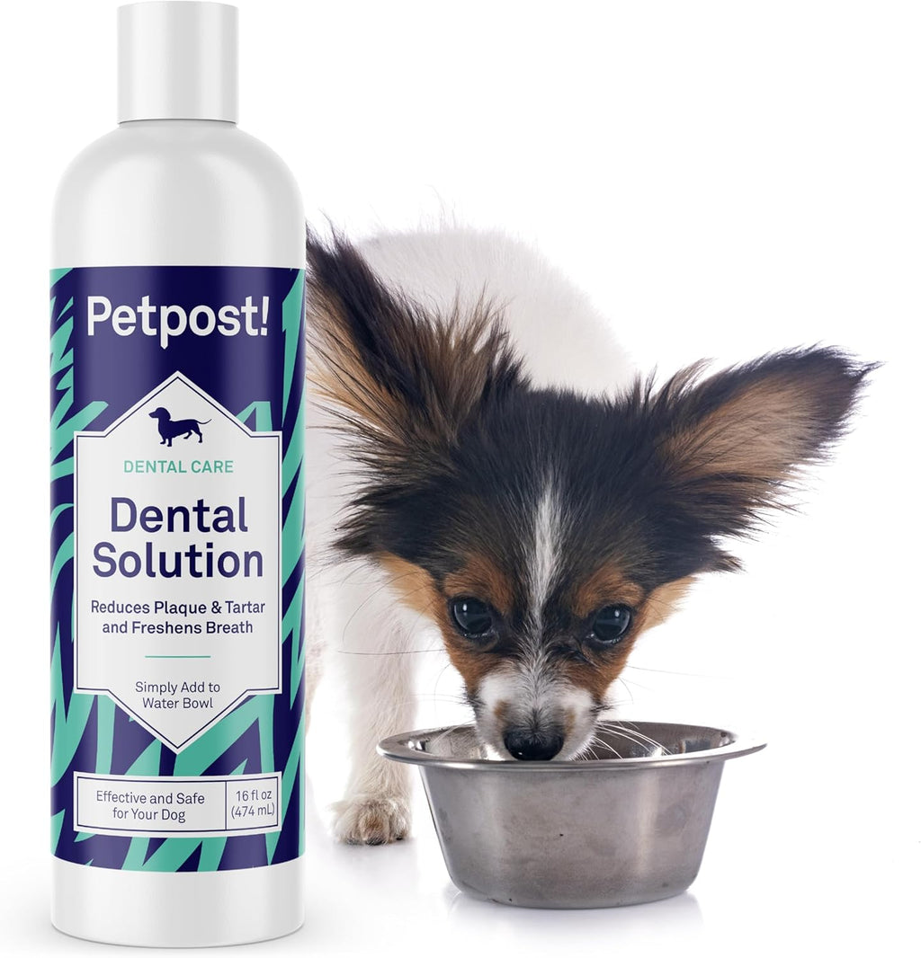 Petpost | Fresh Breath Foam for Dogs - Mint & Apple Flavored Dental Solution that Eliminates Bad Breath - Natural Tooth Cleaning Treatment 5 oz. - Image 10