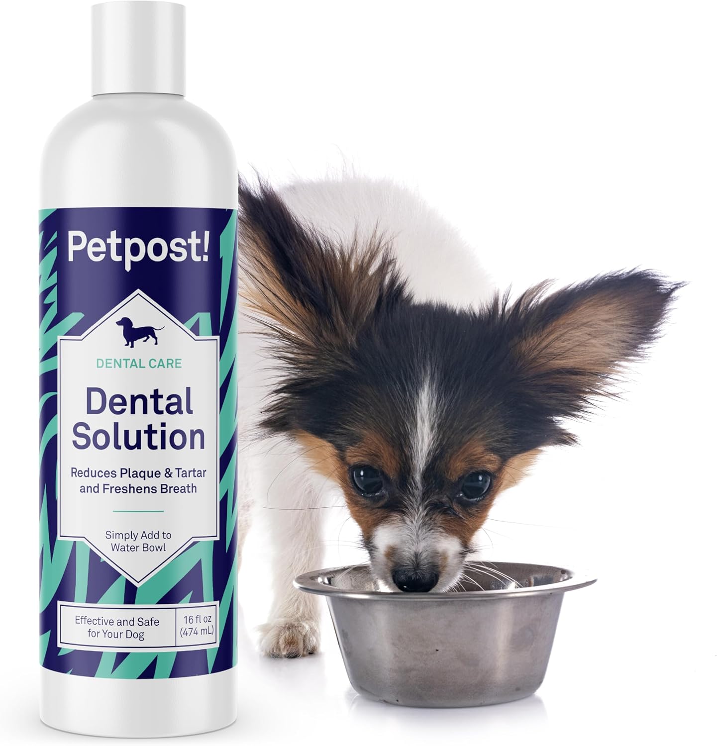 Petpost | Fresh Breath Foam for Dogs - Mint & Apple Flavored Dental Solution that Eliminates Bad Breath - Natural Tooth Cleaning Treatment 5 oz. - Image 10