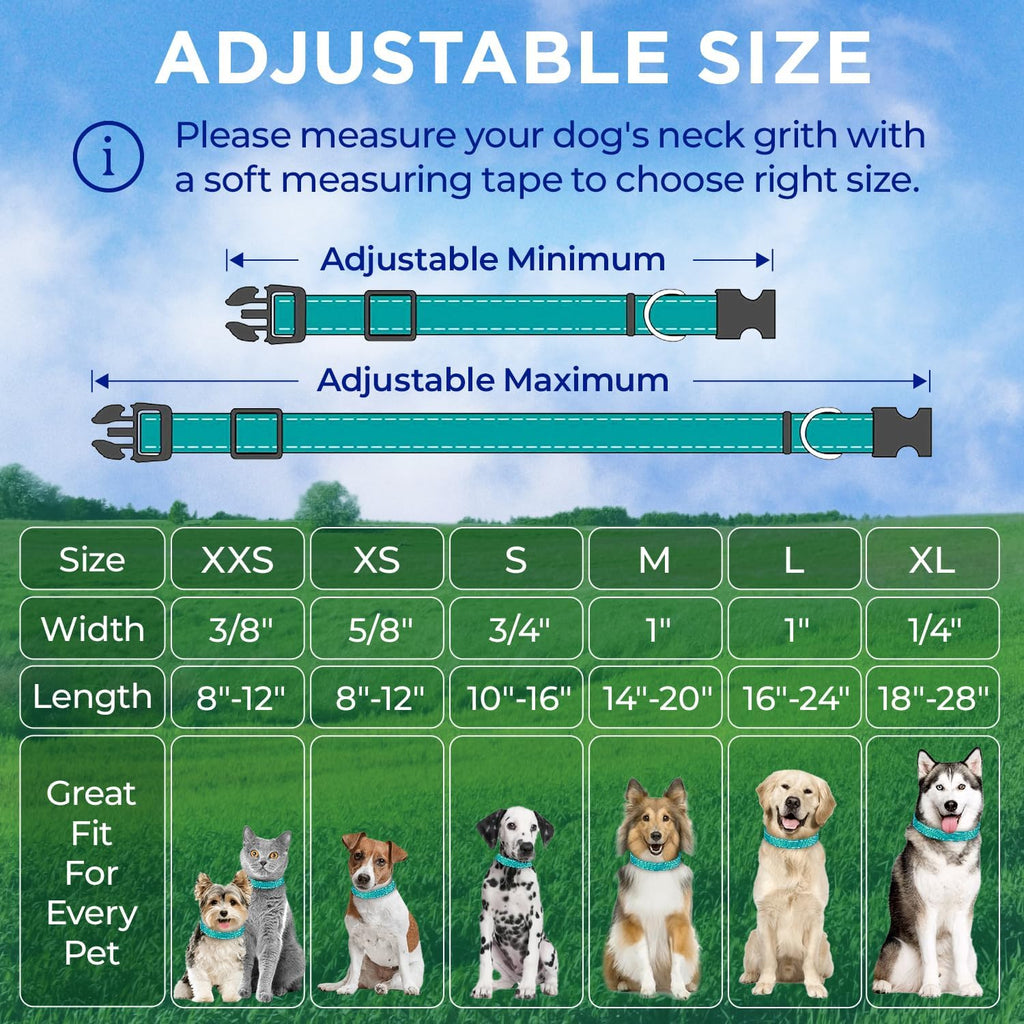 Teceum reflective dog collar on pet