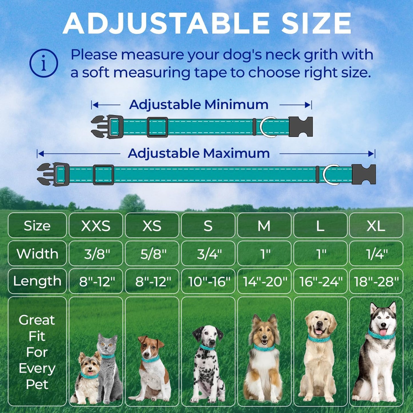 Teceum reflective dog collar on pet