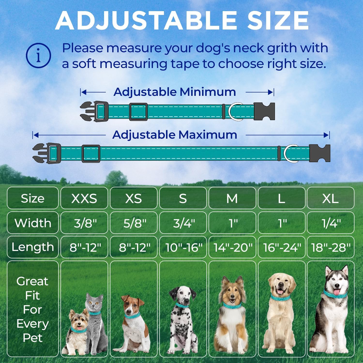 Teceum reflective dog collar on pet