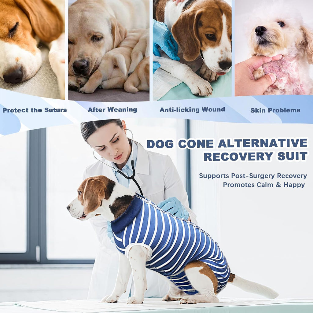 Pelukoa pet recovery clothing showing button closures along the back