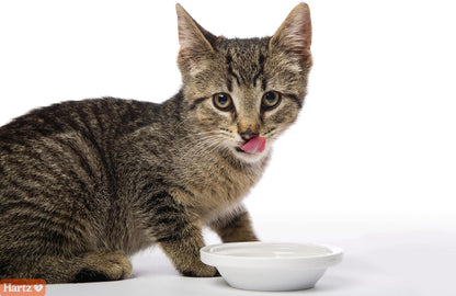 Hartz Hairball Remedy Plus Salmon Flavored Paste for Cats and Kittens, 2.5 Ounce - Image 4