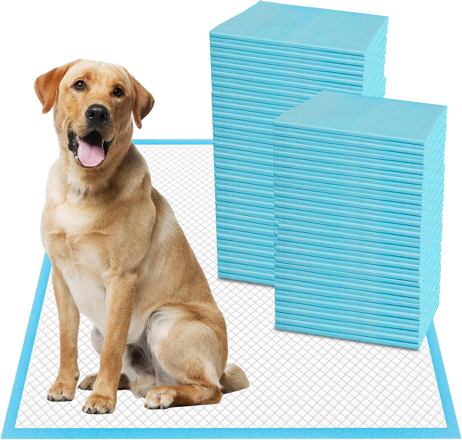 Boscute extra extra large pet training pads front view package showing six layer protection