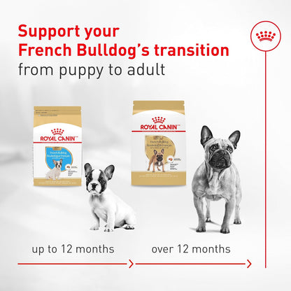 Authentic USA imported Royal Canin pet food cans arranged neatly for premium Indian pet care display.