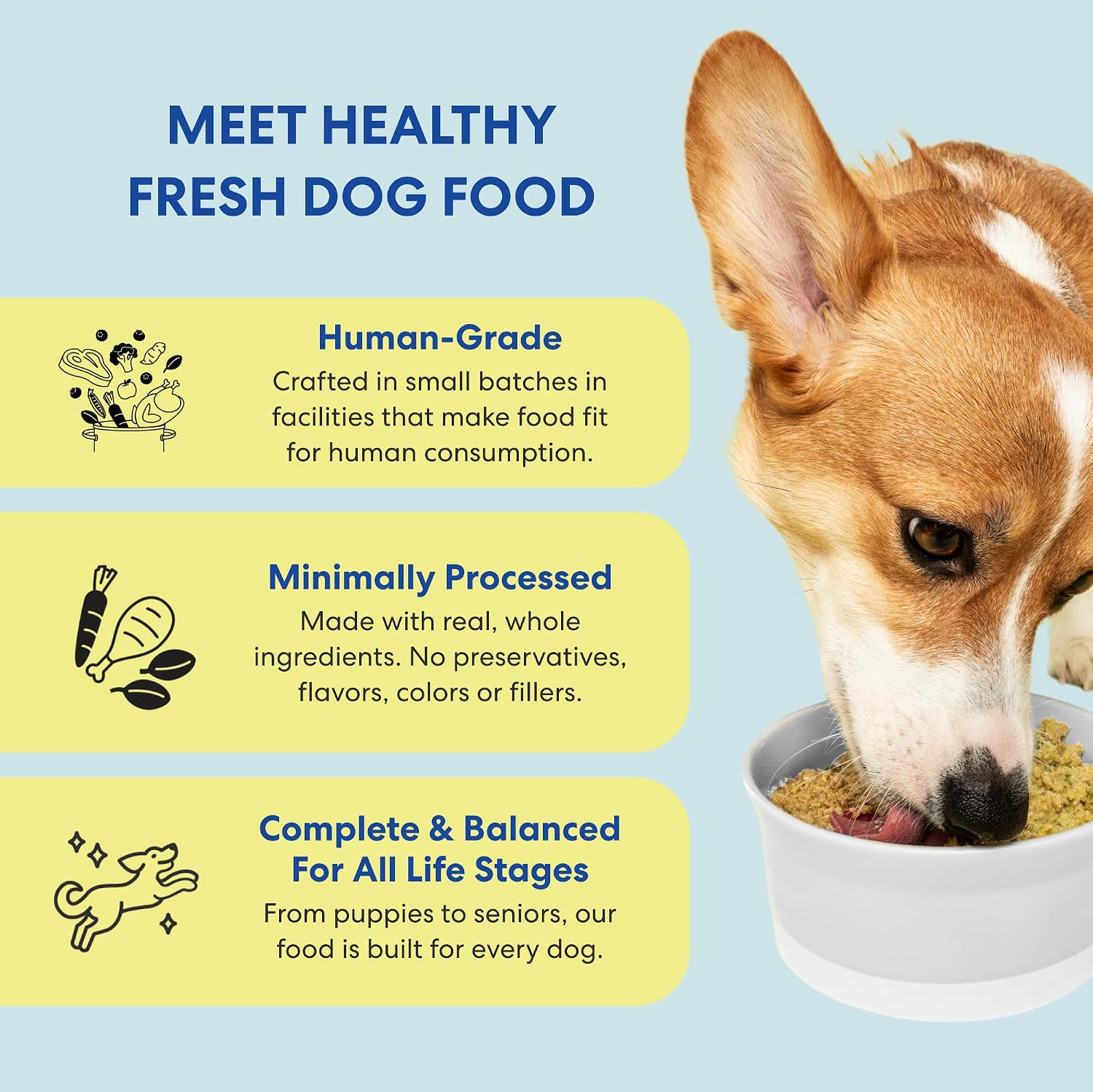 The Pets Table chicken casserole dog food pouch