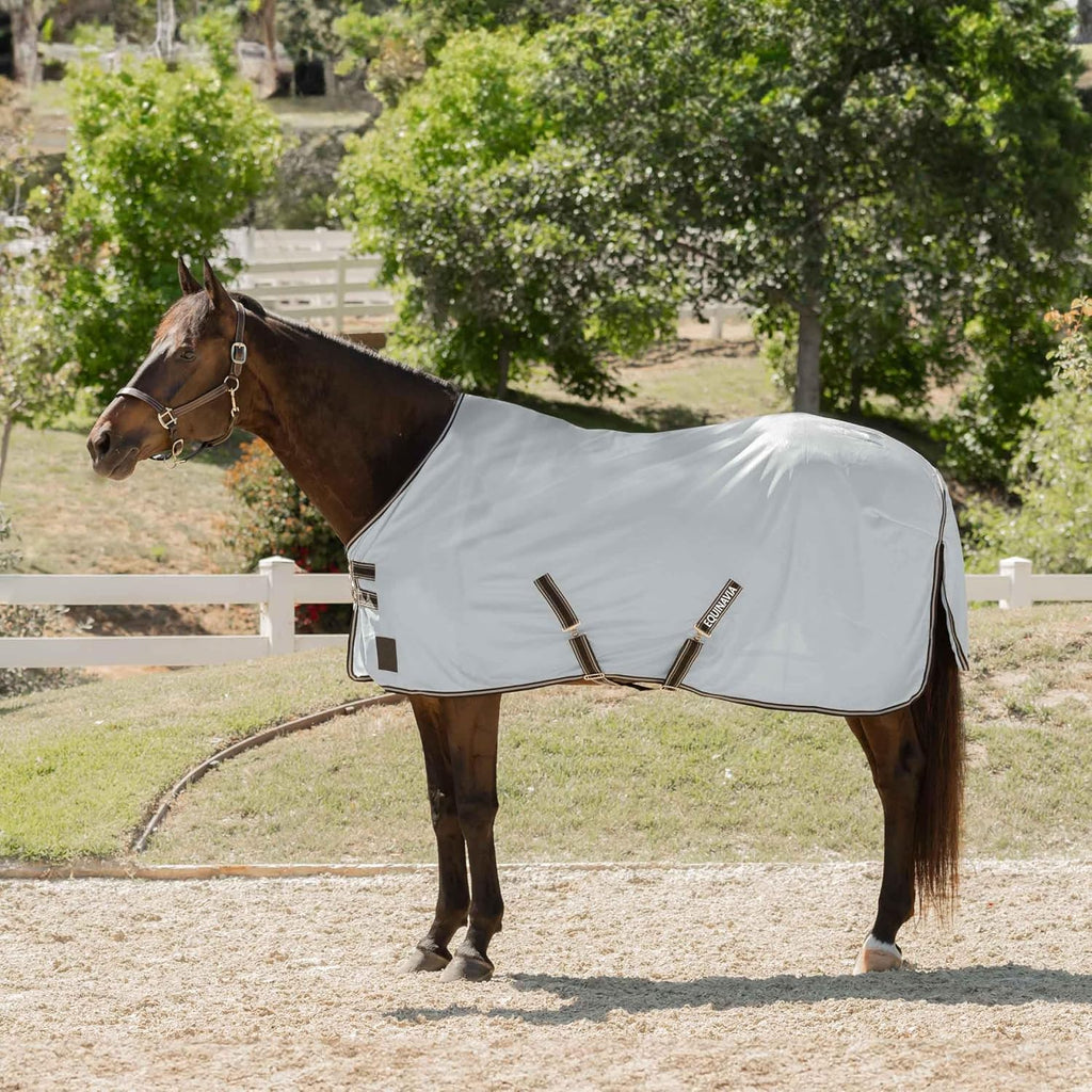 Equinavia Gard Horse Fly Sheet front view on a horse showcasing the buckle front closure.