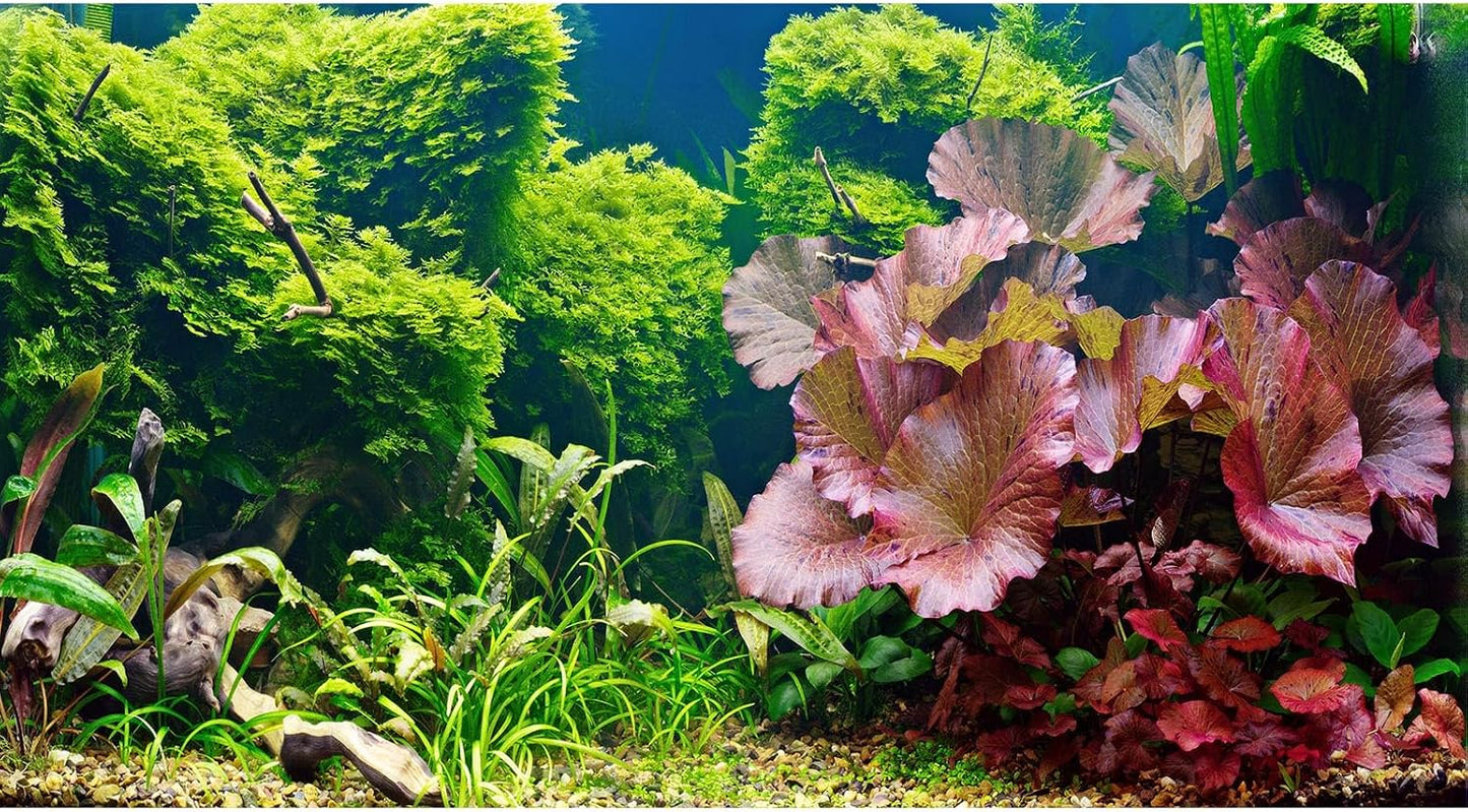 Aquarium Background Various Underwater Grass Plants Aquarium Backdrop Vivid and Fresh Green Aquatic Plants Stone River Bed and Dead Wood Purple Stone Fish Tank Background 24x16in - Image 13