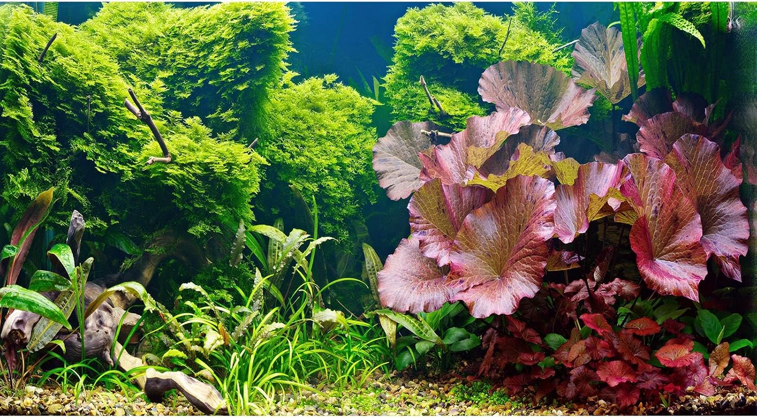 Aquarium Background Various Underwater Grass Plants Aquarium Backdrop Vivid and Fresh Green Aquatic Plants Stone River Bed and Dead Wood Purple Stone Fish Tank Background 24x16in - Image 13