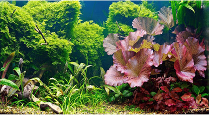 Aquarium Background Various Underwater Grass Plants Aquarium Backdrop Vivid and Fresh Green Aquatic Plants Stone River Bed and Dead Wood Purple Stone Fish Tank Background 24x16in - Image 13