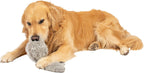 Hyper Pet Doggie Tail plush toy reducing pet boredom and encouraging exercise