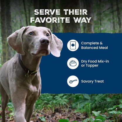 Serving suggestion of Blue Buffalo topper on dry dog food