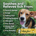 Happy Jack dog and horse skin irritation lotion authentic packaging close up
