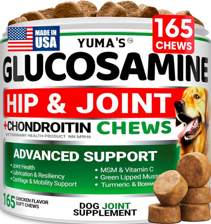 Graphic highlighting glucosamine and chondroitin benefits for dogs