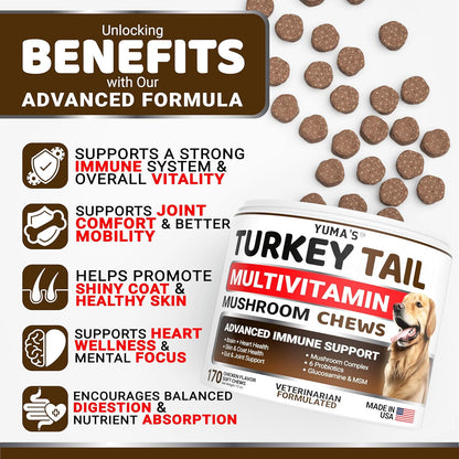 YUMA'S veterinarian formulated mushroom chews packaging side view showing benefits