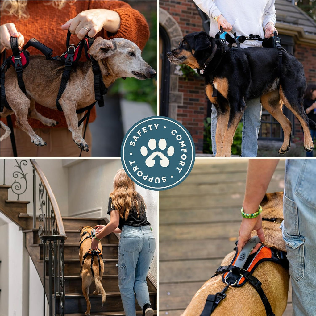 Help 'Em Up(R) - Dog Lift Harness Adjustable Lifting Harness for Dogs Full Body Support, Rear Leg Support (Conventional, Medium, 45-80 lbs) - Image 6