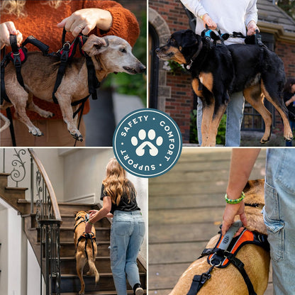 Help 'Em Up(R) - Dog Lift Harness Adjustable Lifting Harness for Dogs Full Body Support, Rear Leg Support (Conventional, Medium, 45-80 lbs) - Image 6