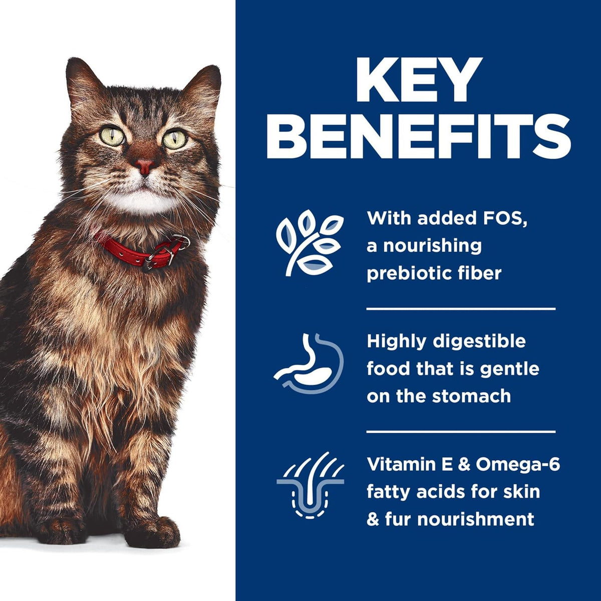 Close-up of Hill's Science Diet tender chunks in gravy wet food texture for healthy skin and coat.