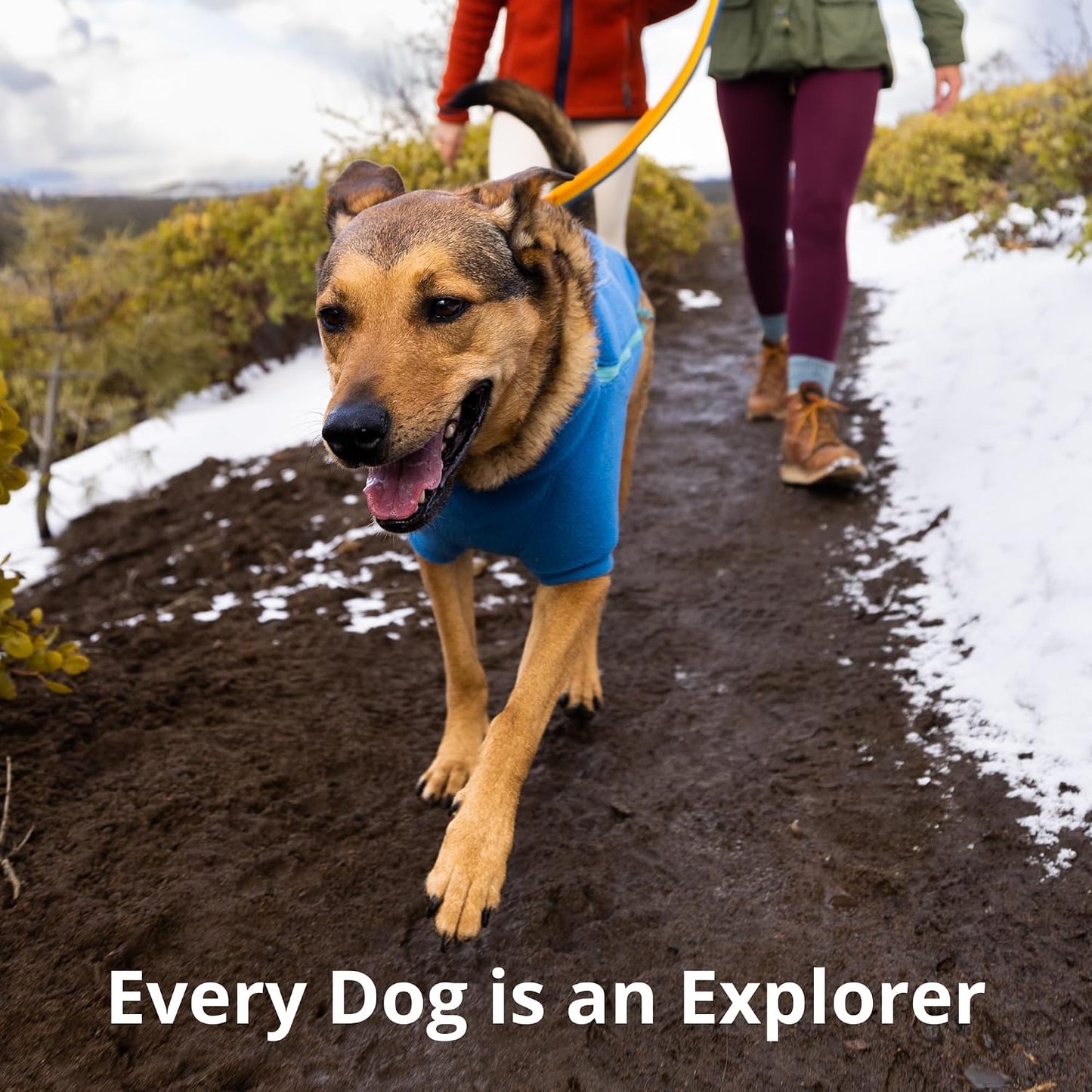 Ruffwear, Roamer Bungee Dog Leash for Running, Biking or Hiking, Can be Used Hand-Held or Hands-Free, River Rock Green, 5.5'-7' - Image 9