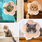 Authentic USA imported Maalgic protective pet e-collar side angle view.