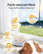 Close up of Pawaura single ingredient freeze dried chicken