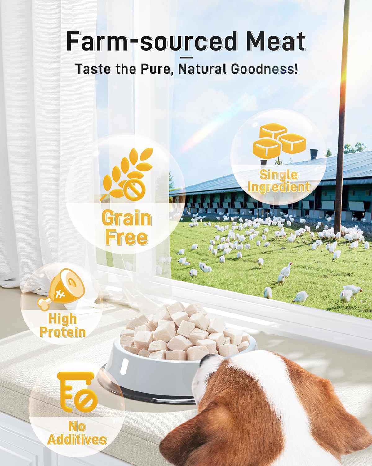 Close up of Pawaura single ingredient freeze dried chicken