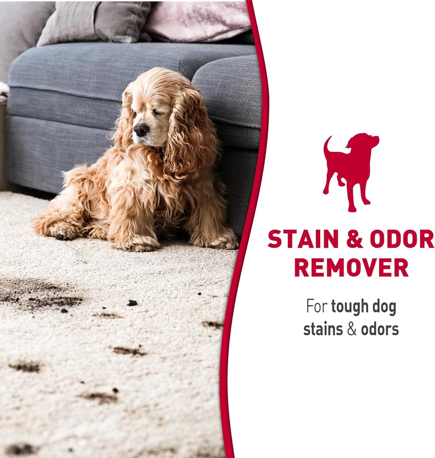 Enzymatic foaming cleaner for dog urine and feces stains