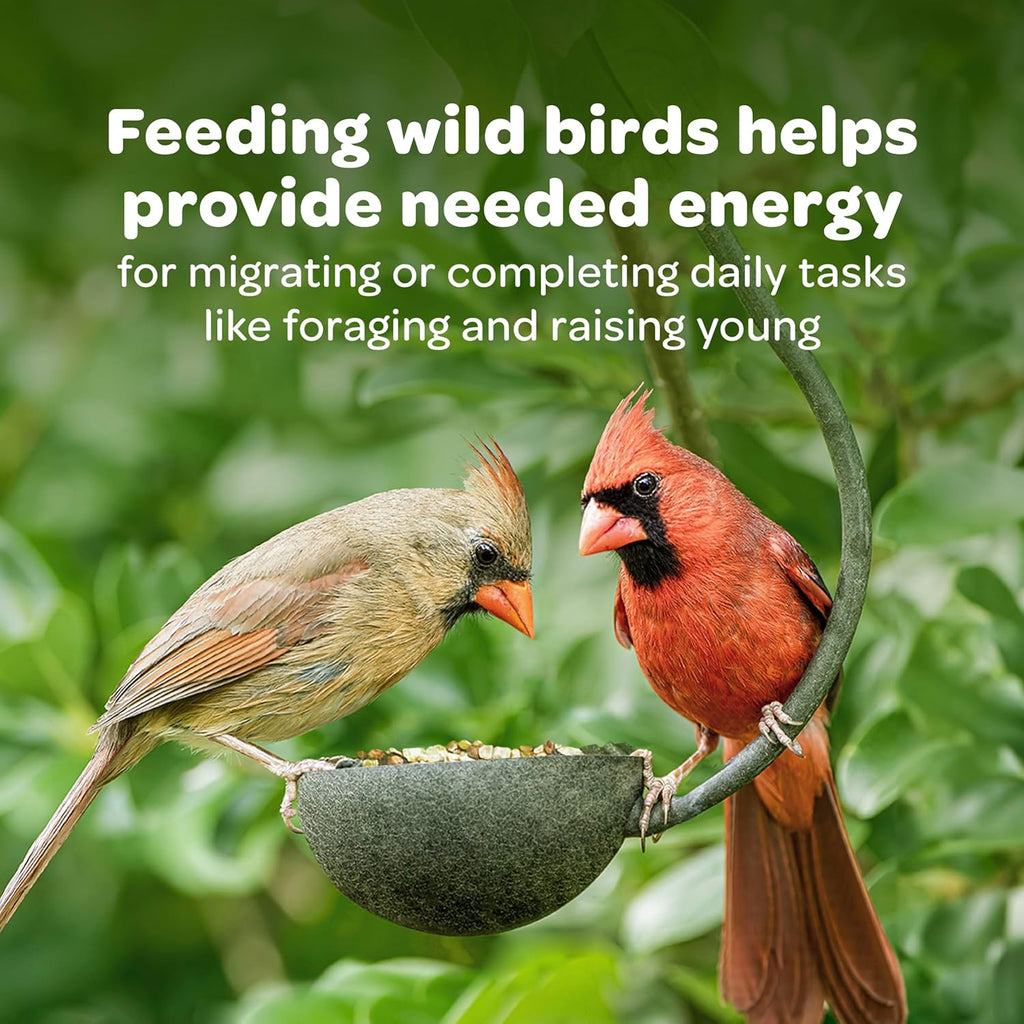 Small backyard songbirds gathered around a finch mesh sock feeder