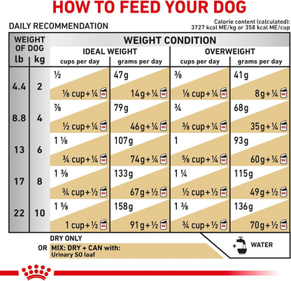 Premium imported Royal Canin small dog dry pet food package for struvite stone management