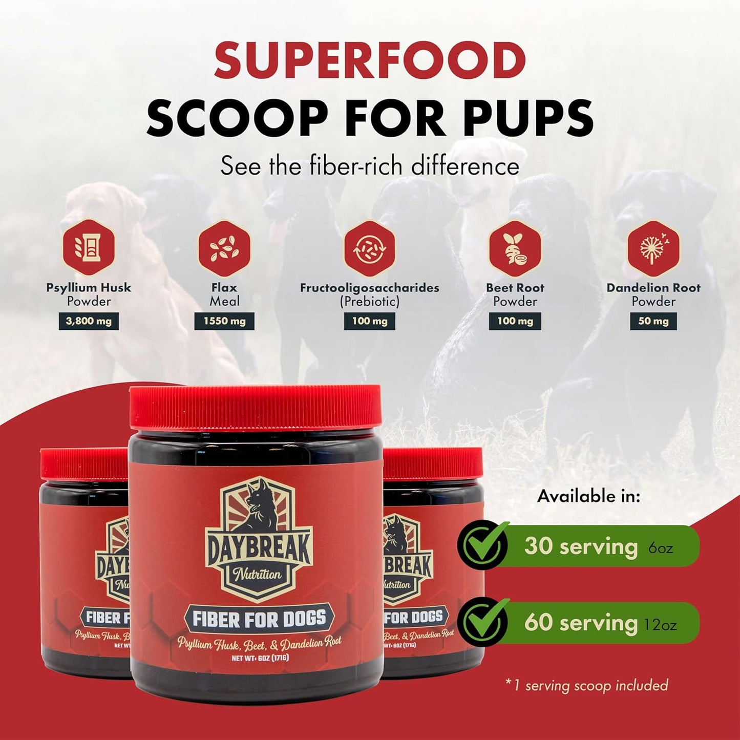 Dog eating food mixed with Daybreak Nutrition fiber powder