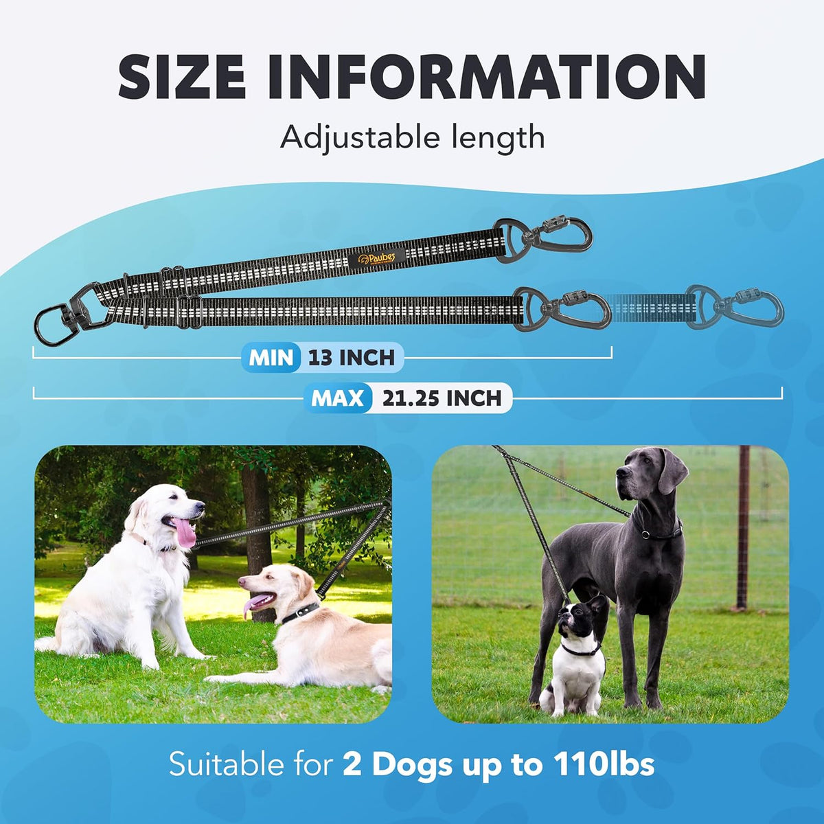 Smartus two dog walking extension with heavy duty metal buckles attached.