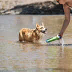 Chuckit! Amphibious Bumper Floating Fetch Dog Toy For Waterplay, Small For Dogs Up To 60 lb, 1.62"L x 8.5" H x 3.5" W, Assorted - Image 9