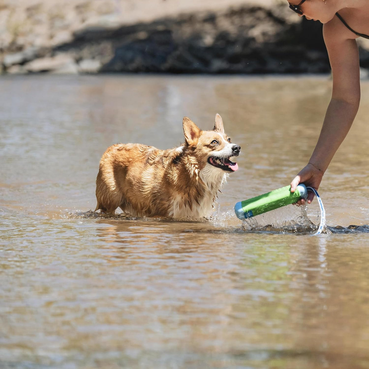 Chuckit! Amphibious Bumper Floating Fetch Dog Toy For Waterplay, Small For Dogs Up To 60 lb, 1.62"L x 8.5" H x 3.5" W, Assorted - Image 9