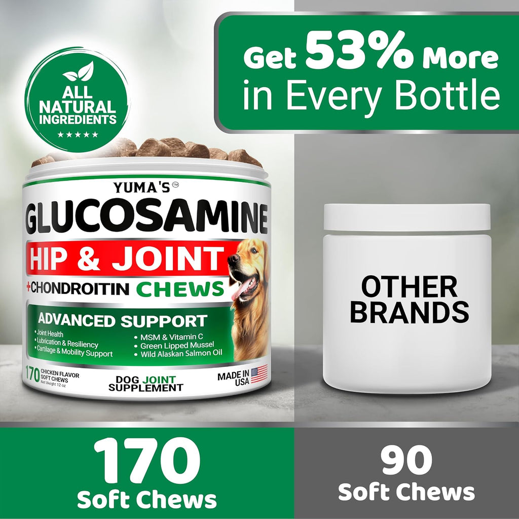 YUMA'S advanced canine health joint supplement with MSM product closeup.