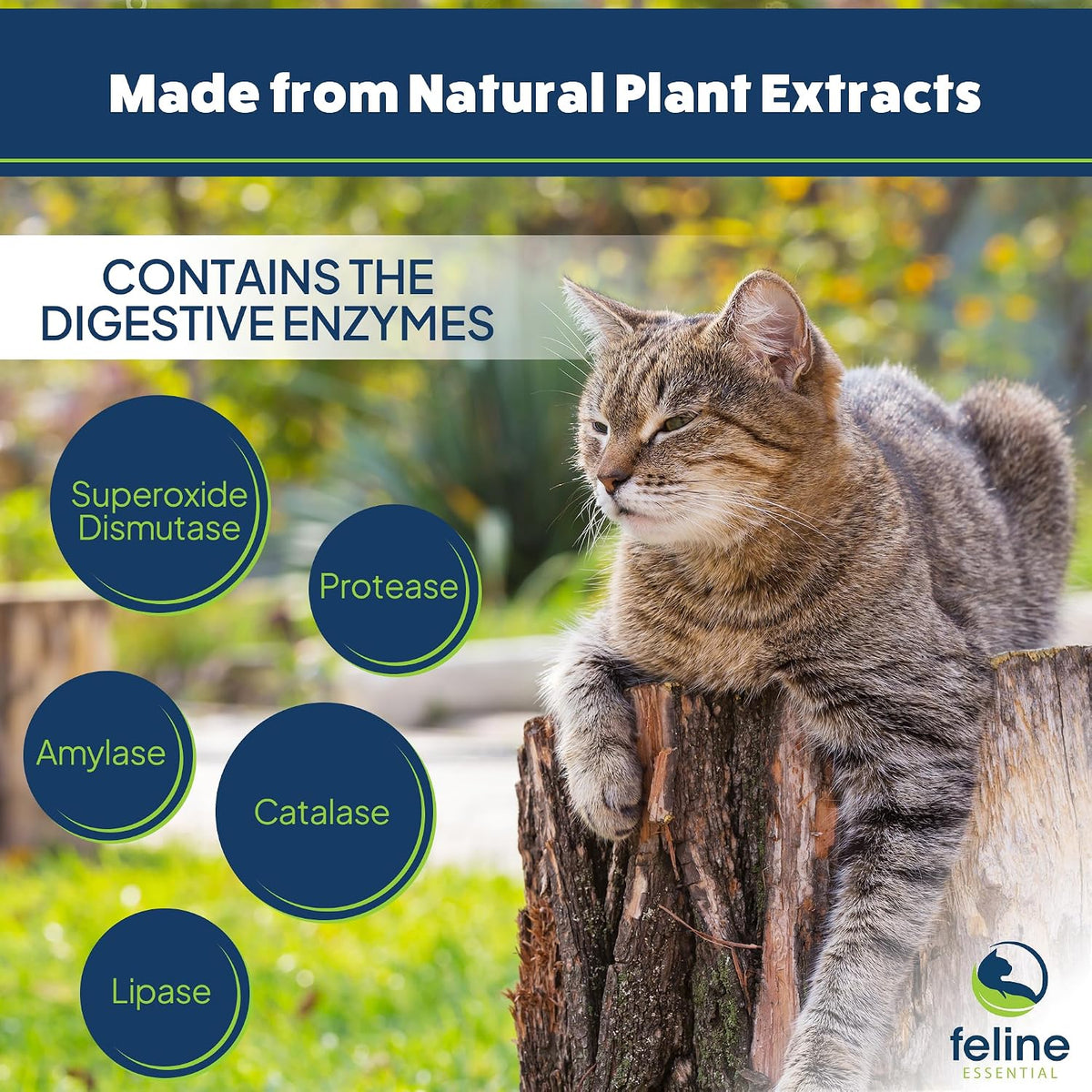 Natural plant extracted cat digestive support liquid formula ingredients list