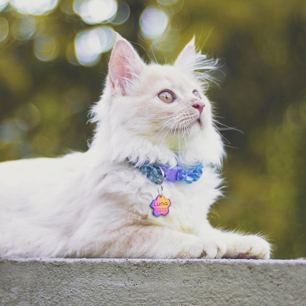 Anavia floral design dog collar tag attached to a pet harness.