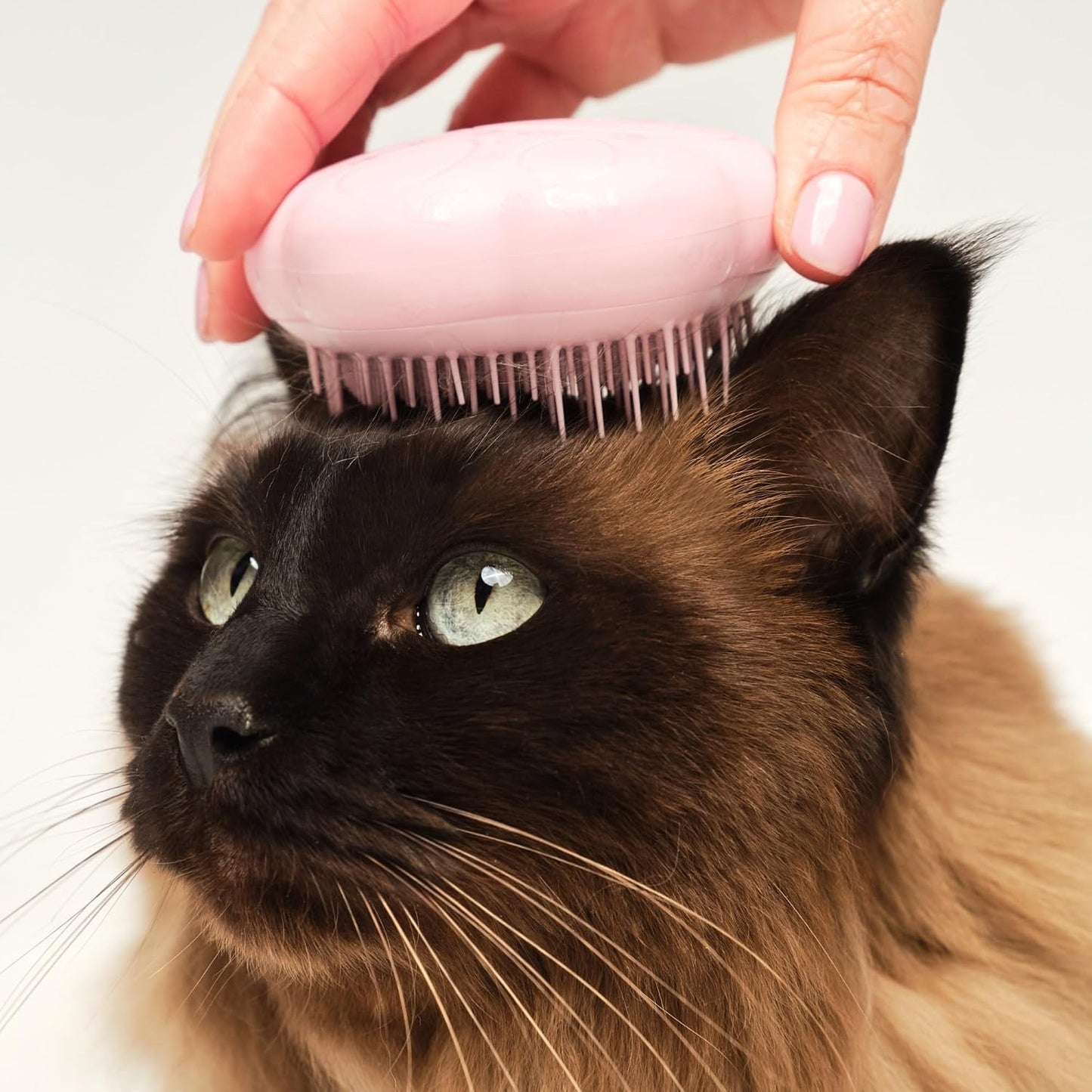 Ergonomic paw-shaped handle of the Tangle Teezer pet brush