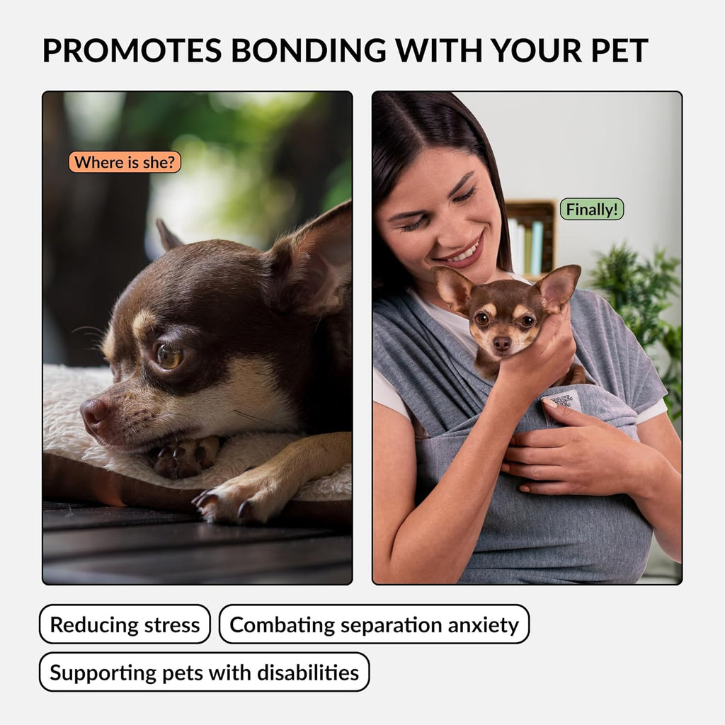 Small dog resting inside the CollarDirect gray pet sling