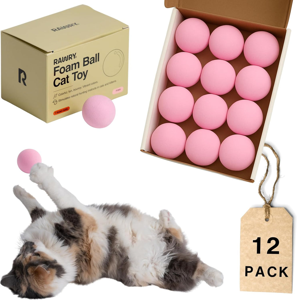 Active cat chasing orange foam ball indoor toy