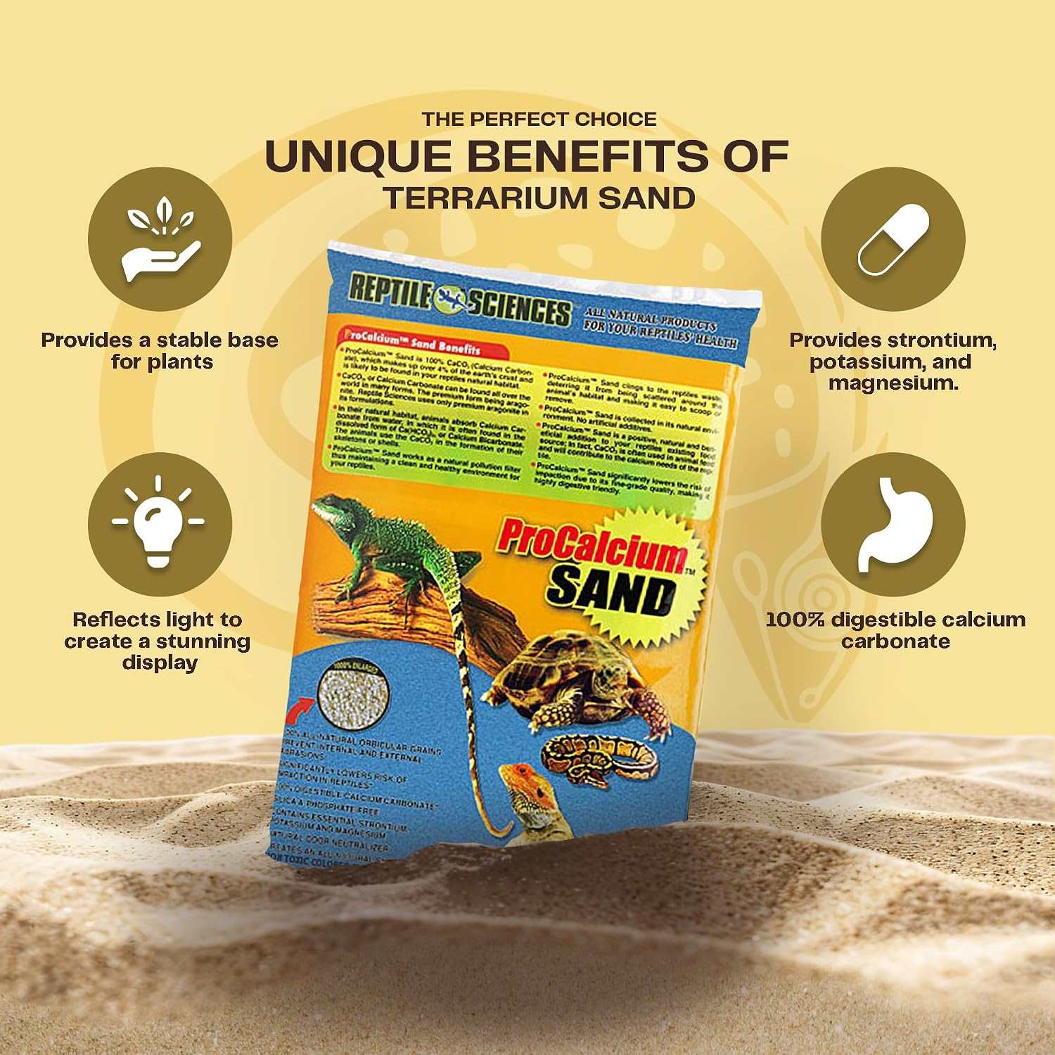 Bearded dragon on blue pro-calcium terrarium sand