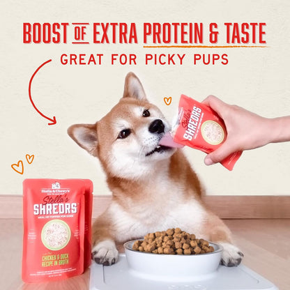 Healthy dog meal topper with shredded chicken