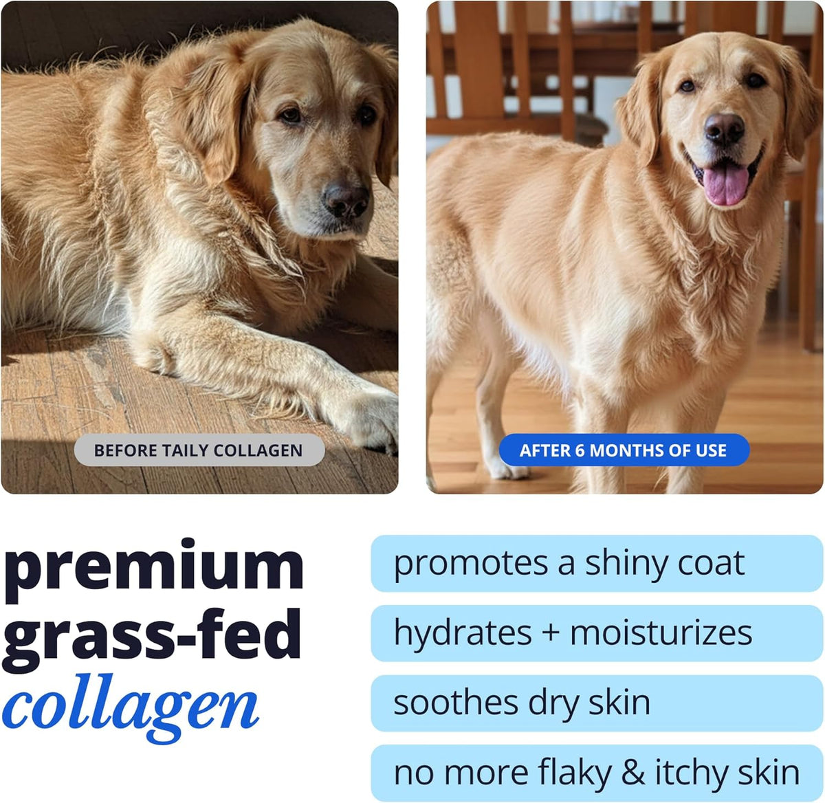 Taily premium grass-fed collagen skin and coat supplement container
