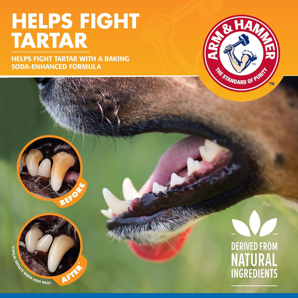 Dog receiving oral care with Arm And Hammer dental spray