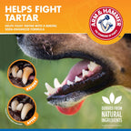 Dog receiving oral care with Arm And Hammer dental spray